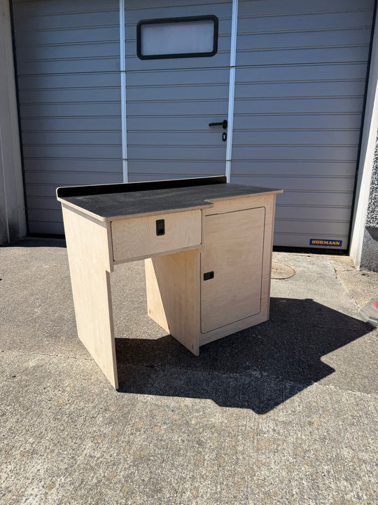 Kitchen Unit - Birch ply & Hexa Worktop