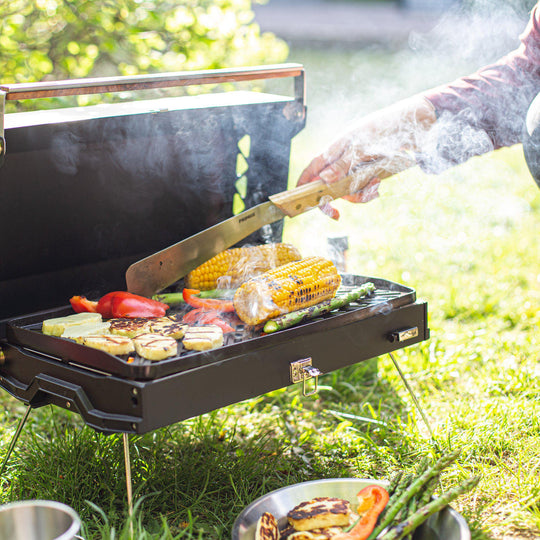 Primus Kuchoma Stove